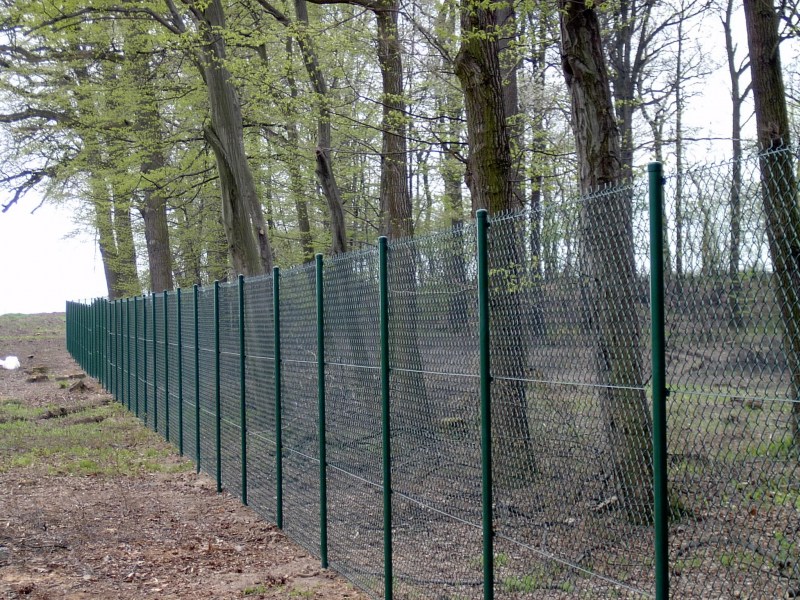 Забор сетка рабица от производителя. Забор из рабицы 6005. Красивый забор из сетки. Забор из зеленой сетки рабицы. Зелёный забор из сетки.